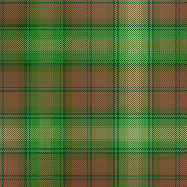 Shreck Tartan Kilt - Shreck Movie Tartan | Shreck Film Official tartan 