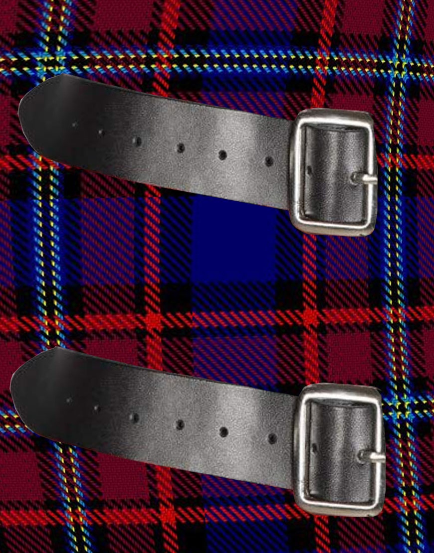 Near Earth Object Surveyor tartan