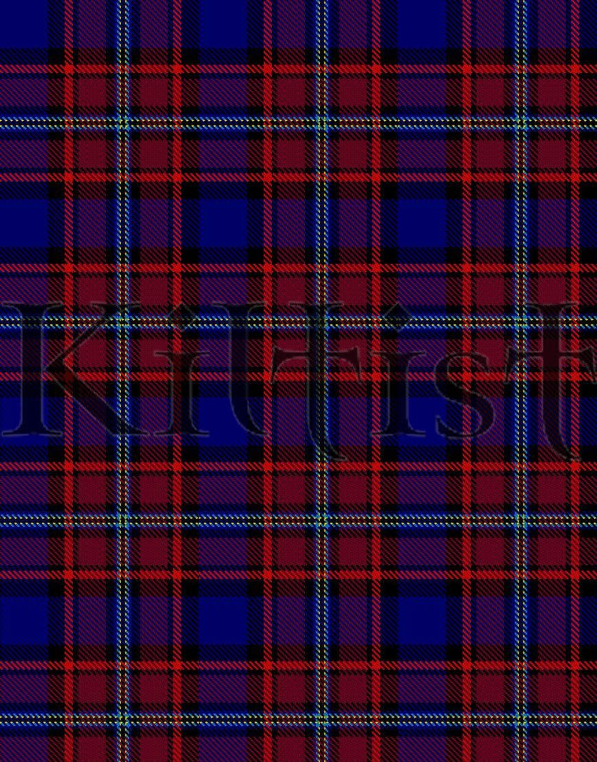 Near Earth Object Surveyor tartan