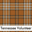 Tennessee Volunteer