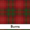 Burns 
