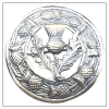 Thistle  + $20.00