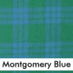 Montgomery Blue