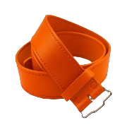 Orange  + $60.00