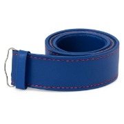 Blue  + $60.00